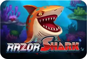 popular game img