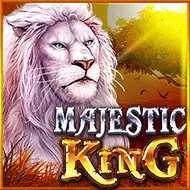 popular game img
