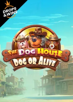 popular game img