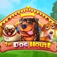 popular game img