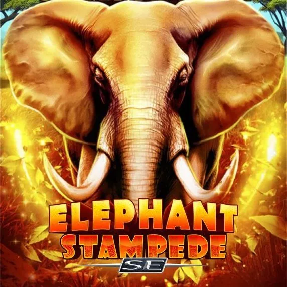 popular game img