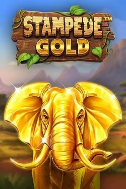 popular game img