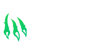 Wild.io Casino