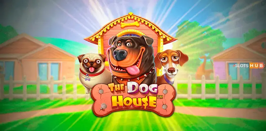 The Dog House